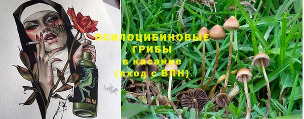 эйфоретик Медвежьегорск