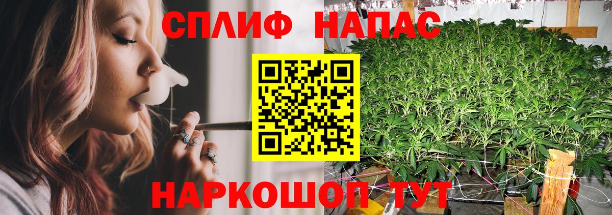 Каннабис планчик  Каннабис конопля  Владикавказ  Шишки марихуана ГИДРОПОН  Вход с VPN 